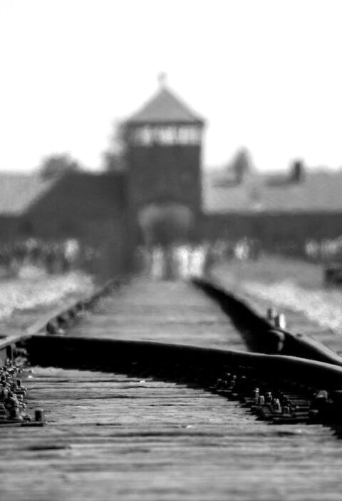 Holocaust